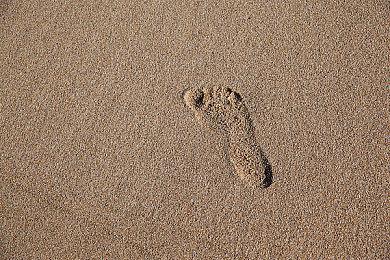 Xbox金会员12月会免游戏公布：《幽林怪谈》等